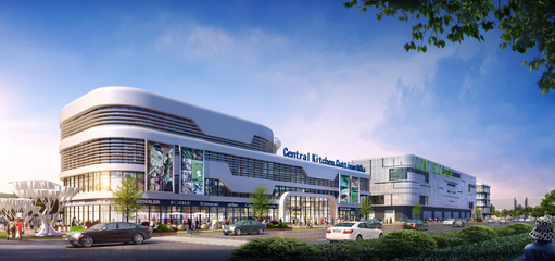 樂山中農(nóng)城打造商貿(mào)橋頭堡,新修高架橋錦上添花